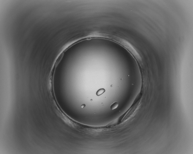 X0000111171292200907011342