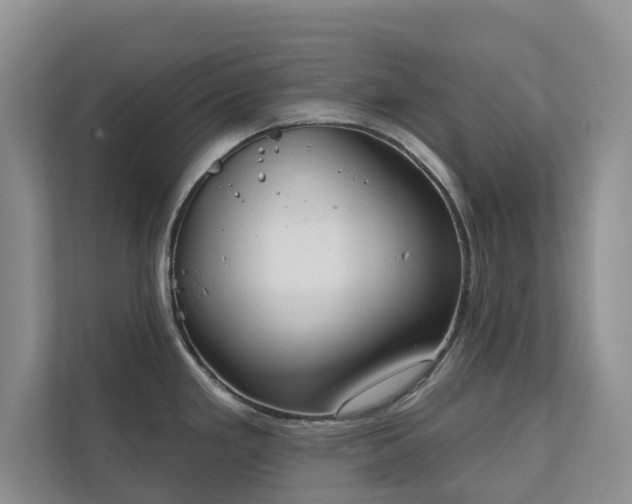 X0000111171293200907011342