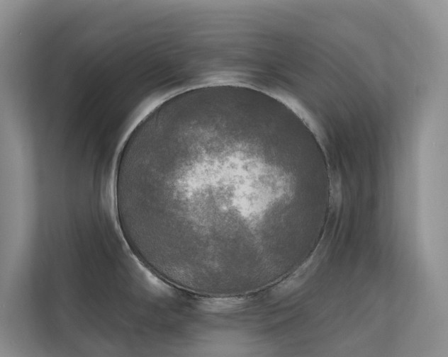 X0000111171294200907011342