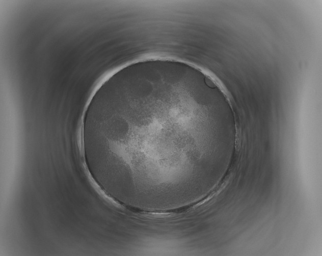 X0000111171295200907011342