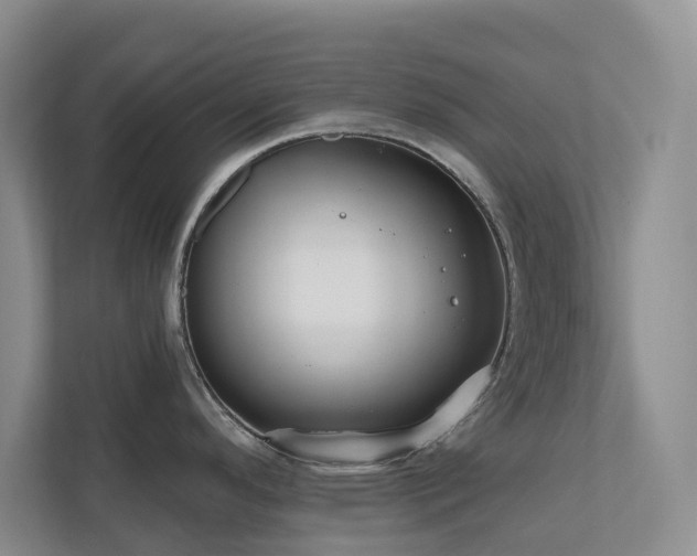 X0000111171296200907011342