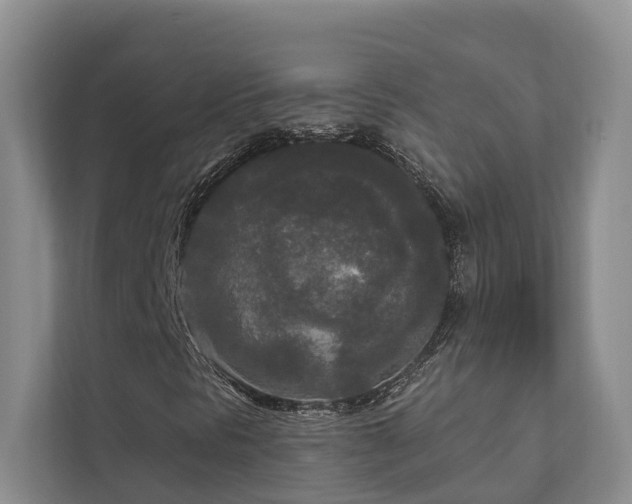 X0000111171297200907011341