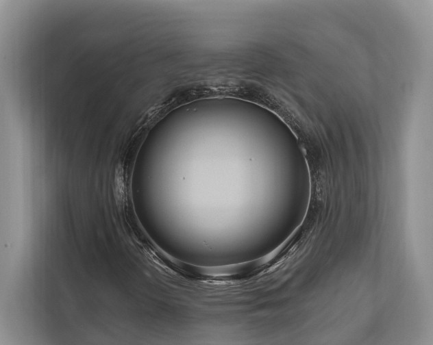 X0000111171298200907011341