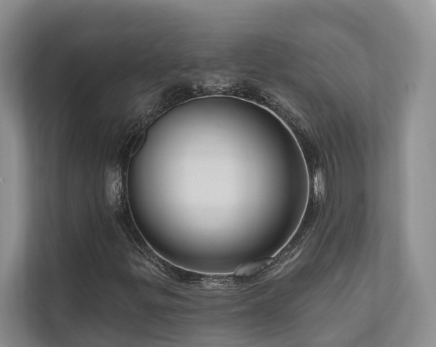 X0000111171299200907011341