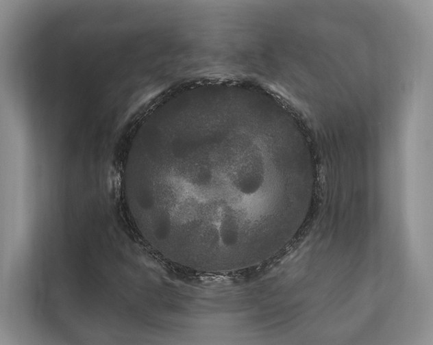 X0000111171302200907011341