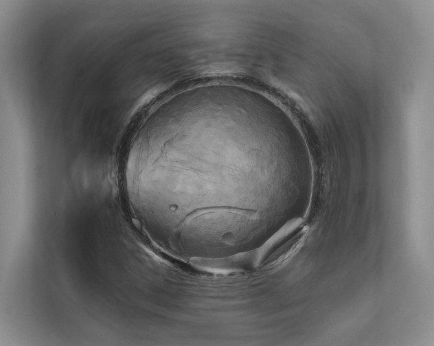 X0000111171306200907011341