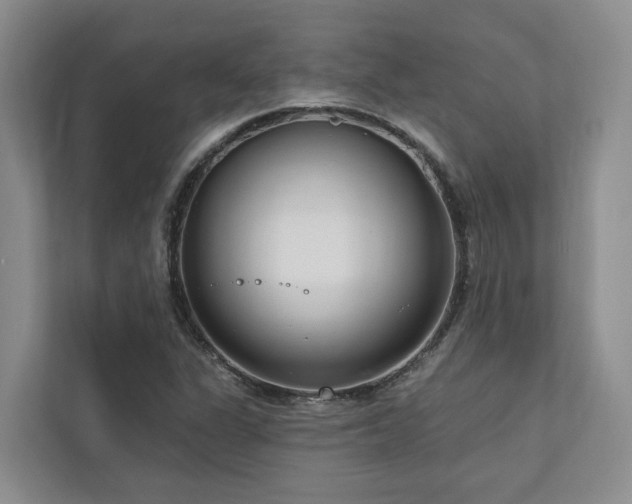 X0000111171311200907011341