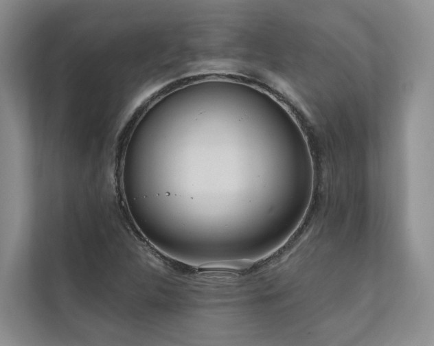 X0000111171312200907011341