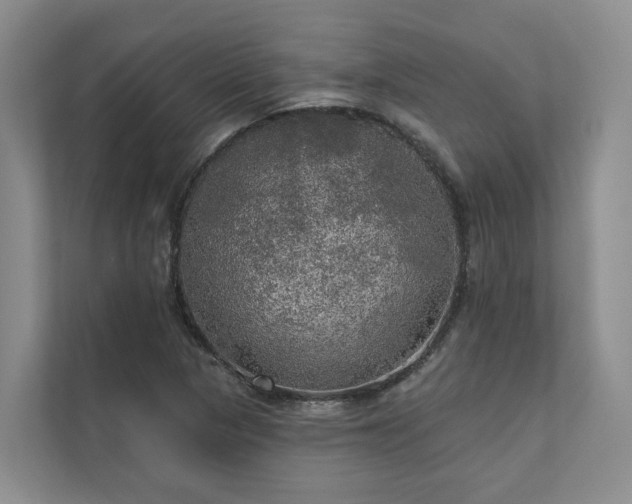 X0000111171313200907011341