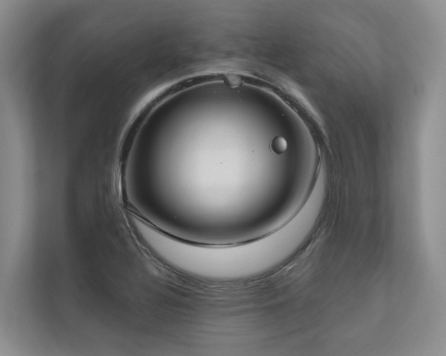 X0000111171320200907011341