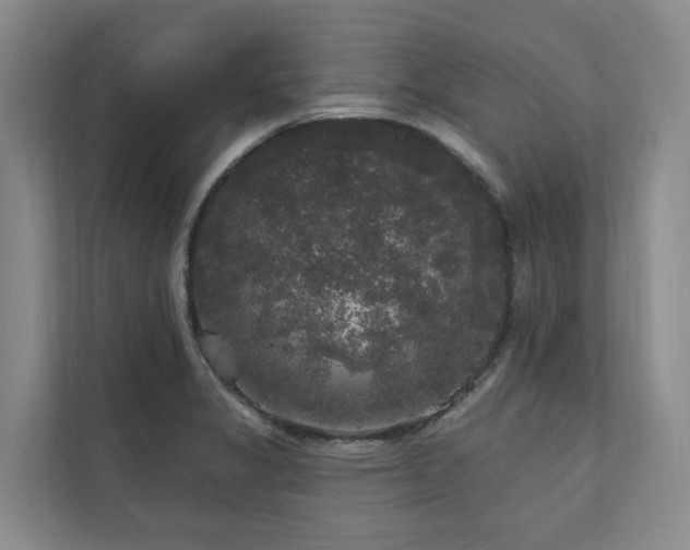 X0000111171325200907011342