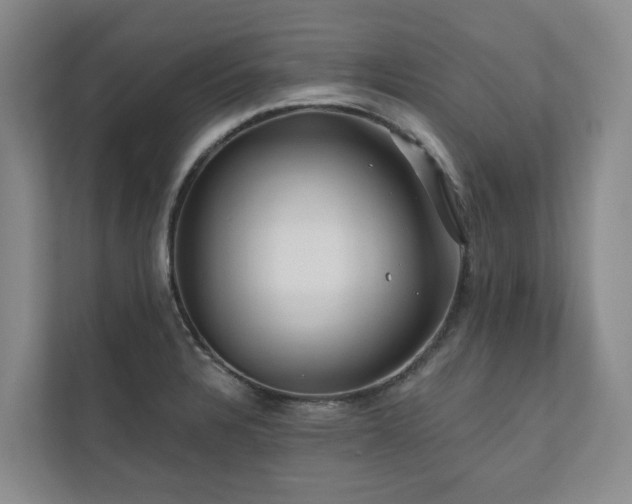 X0000111171328200907011342