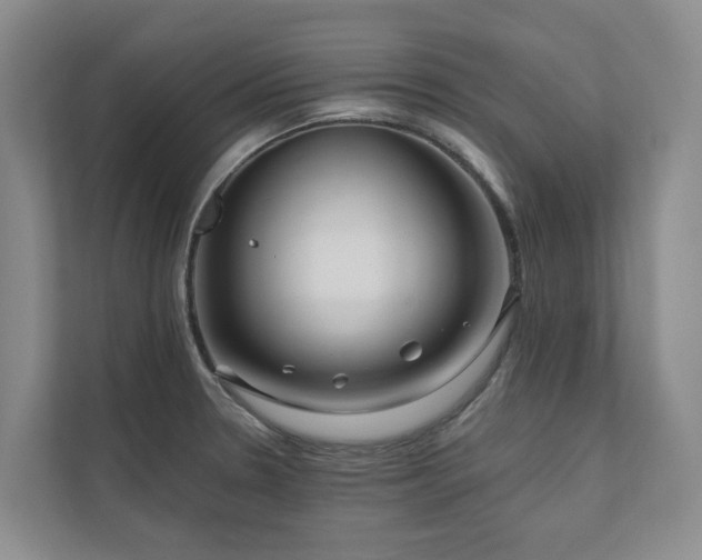 X0000111171330200907011342