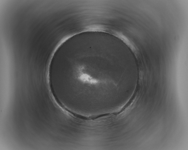 X0000111171331200907011342