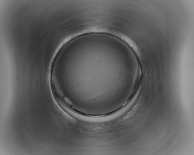 X0000111171334200907011342