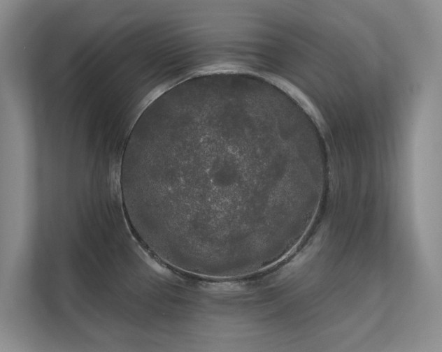 X0000111171337200907011342