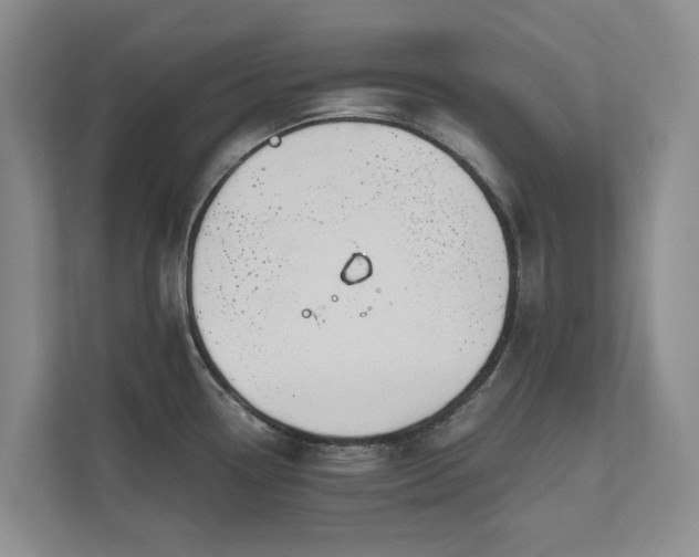 X0000111171338200907011342