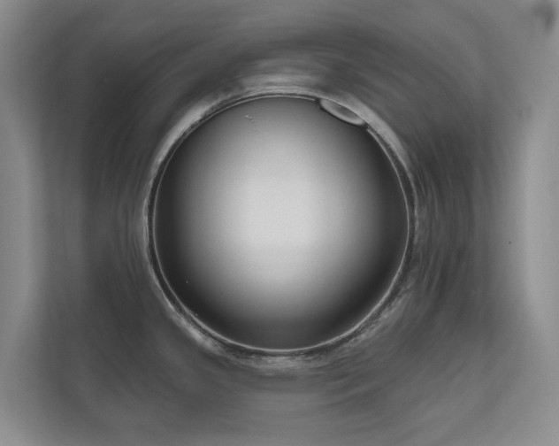 X0000111171341200907011342