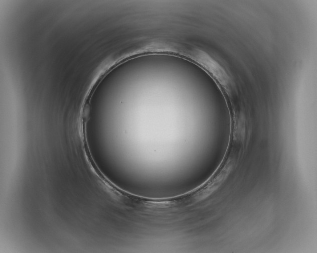 X0000111171342200907011342