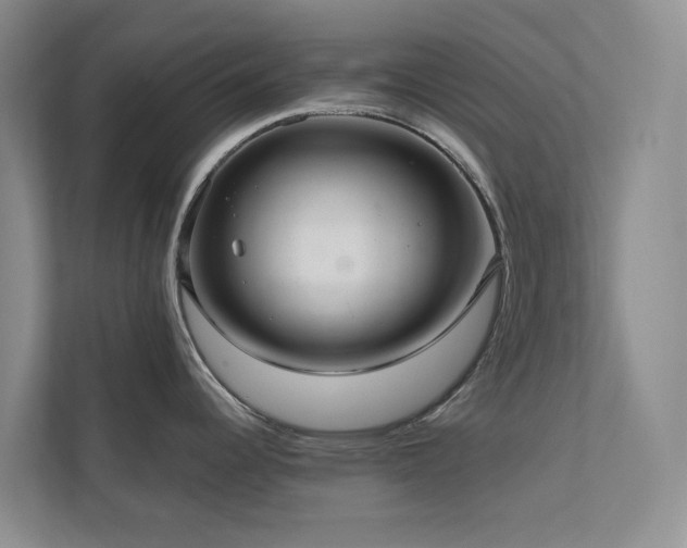 X0000111171344200907011342