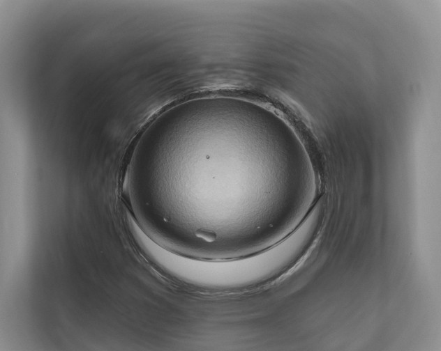 X0000111171353200907011341