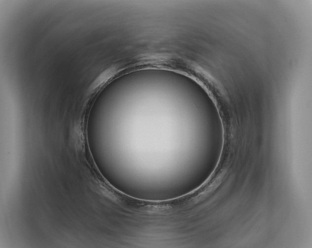 X0000111171354200907011341