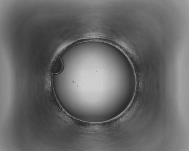 X0000111171358200907011341