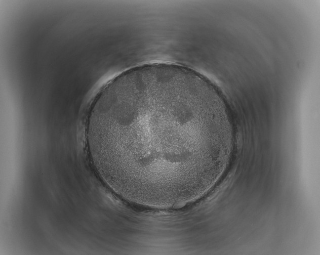 X0000111171359200907011341