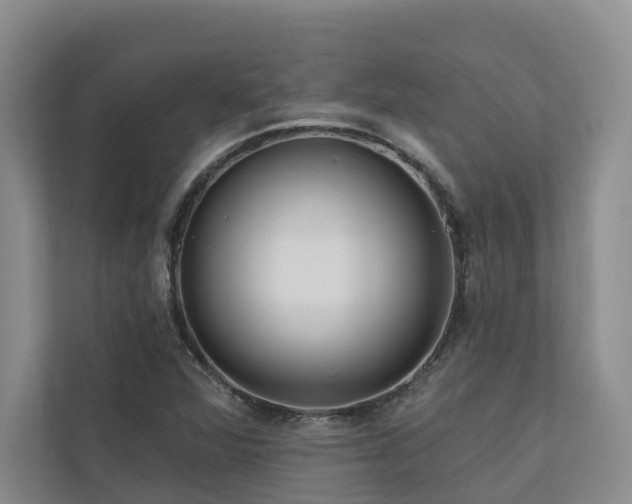 X0000111171360200907011341