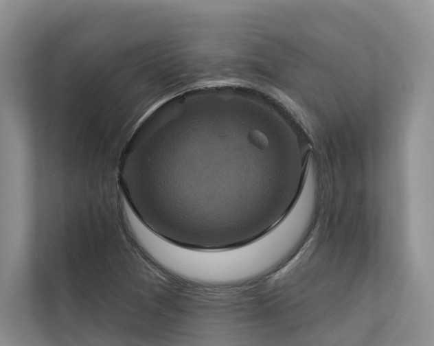 X0000111171361200907011341