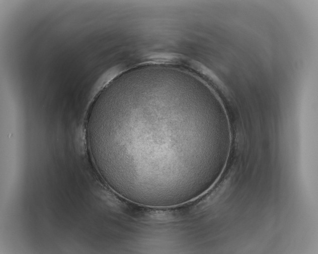 X0000111171362200907011341