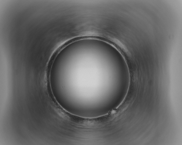 X0000111171364200907011341