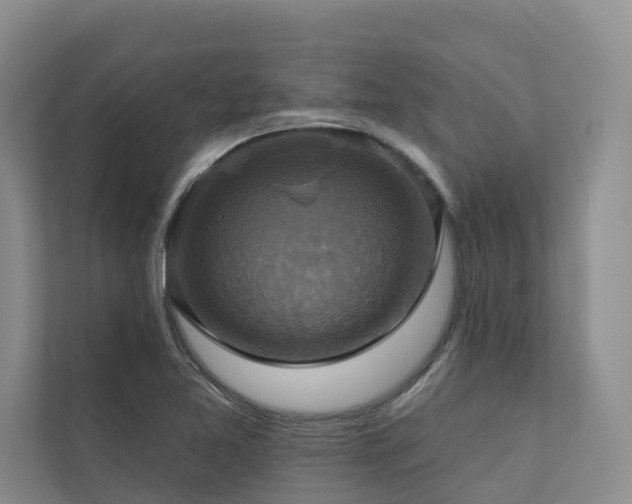 X0000111171365200907011341