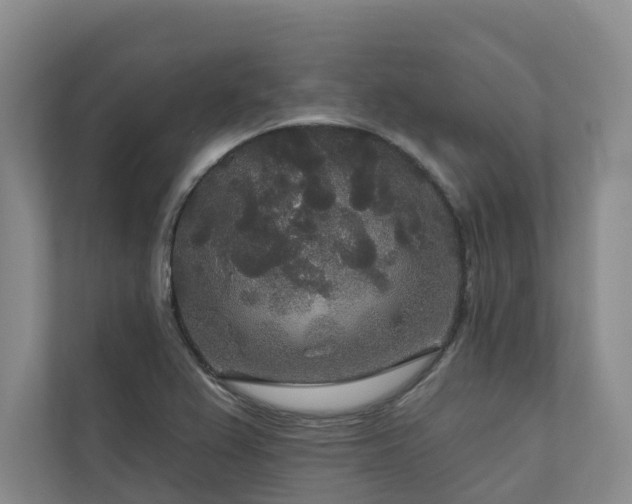 X0000111171367200907011341