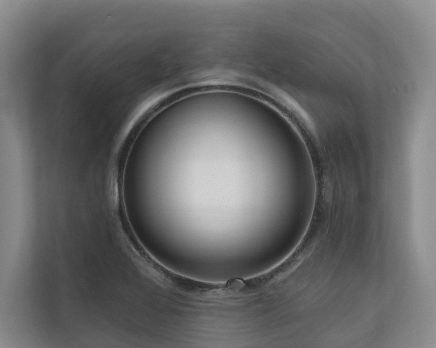 X0000111171368200907011341