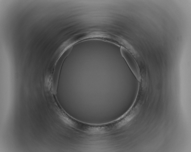 X0000111171369200907011341