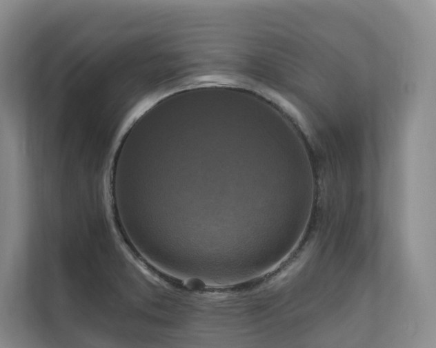 X0000111171373200907011341