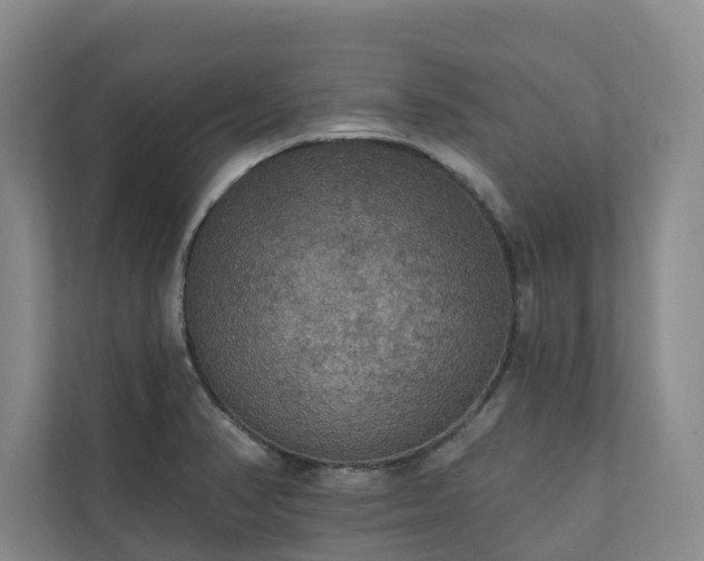 X0000111171374200907011341