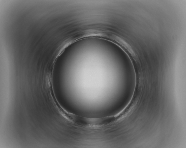 X0000111171377200907011341