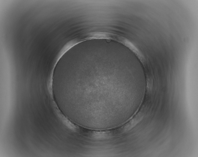 X0000111171378200907011341