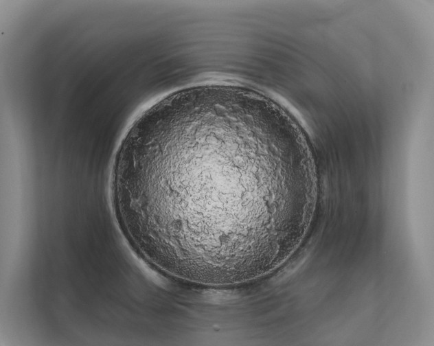 X0000111171379200907011341