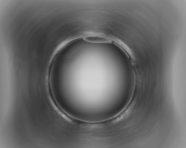 X0000111171381200907011341