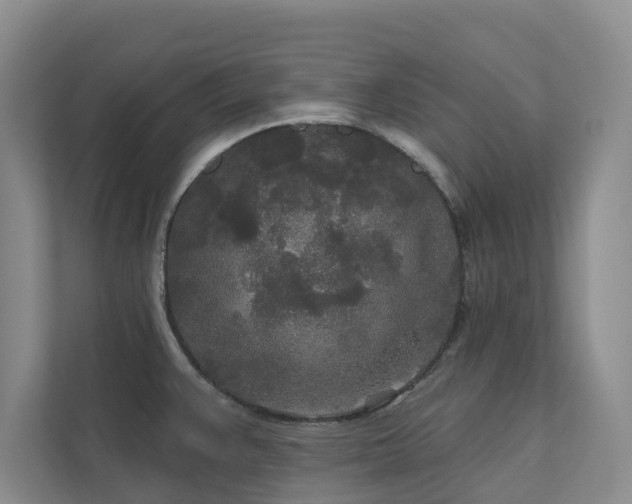 X0000111171383200907011341