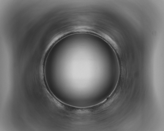 X0000111171384200907011341