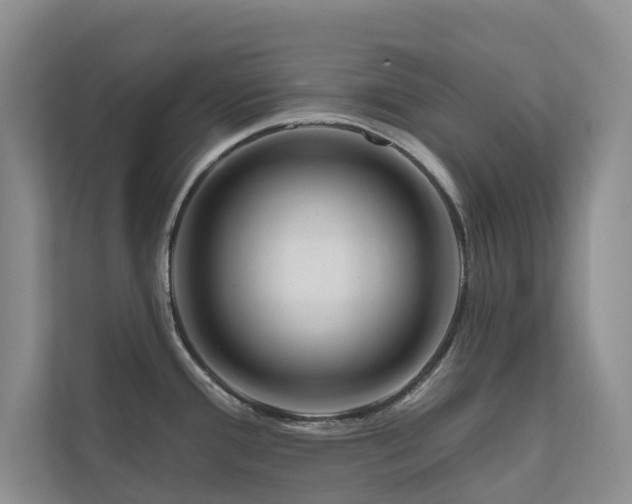 X0000111171388200907011341