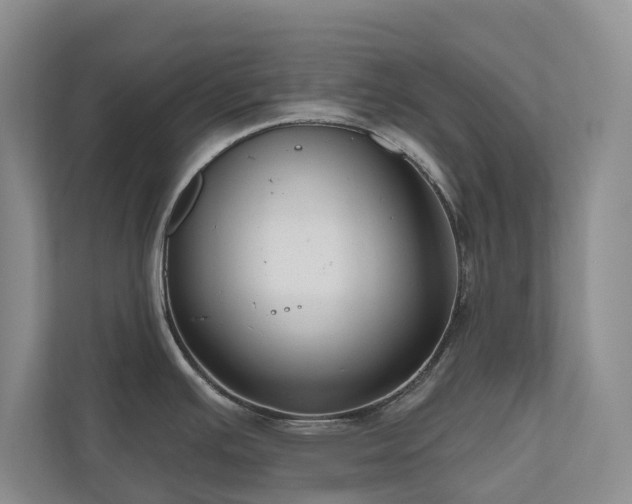 X0000111171391200907011341