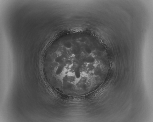 X0000111171393200907011340