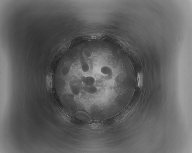 X0000111171395200907011340