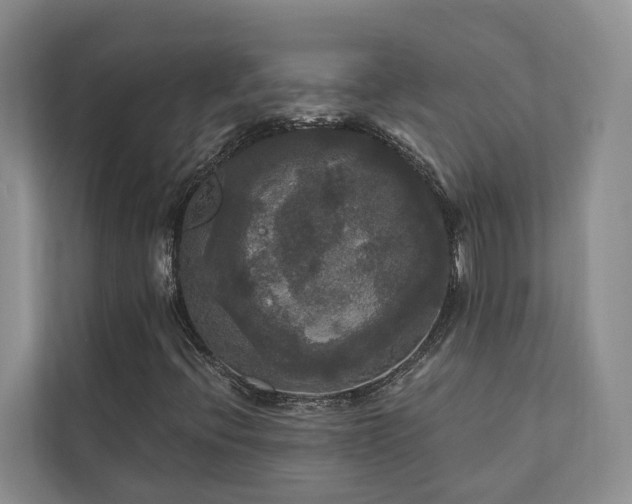 X0000111171396200907011340