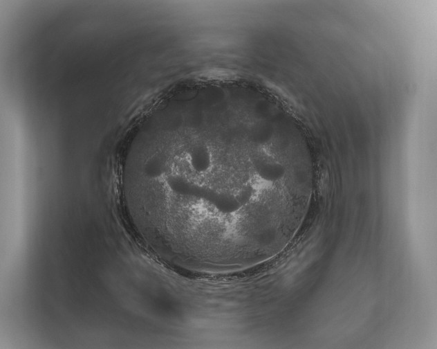 X0000111171397200907011340